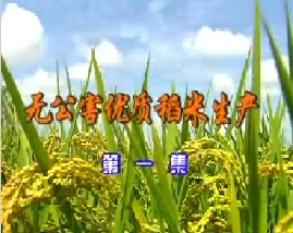 无公害优质稻米生产（一）
