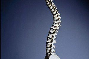 错骨缝与筋出槽治疗术脊柱关节错骨缝
