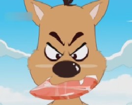 狗和倒影