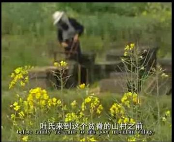 杭州古村镇—新叶村