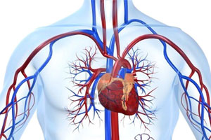 冠心病防治与合理用药