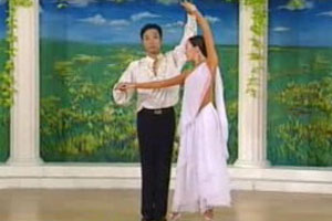 蝴蝶布鲁斯（四）