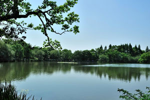 国美岁月（上）