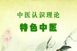 中医认识理论特色中医
