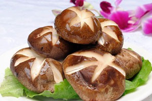 珍美山菌（上）