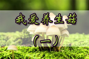 我爱养生菇（一）