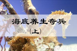 海底养生奇兵（上）