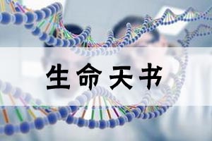 生命天书