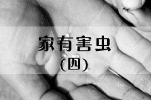 家有害虫（四）
