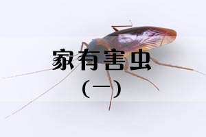 家有害虫（一）