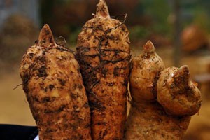 把财富埋在1500米的高山上