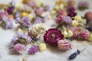 胡草群的财富狂想