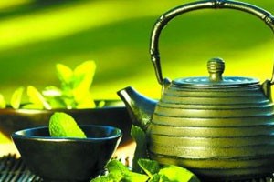 90后小伙的速度与激情