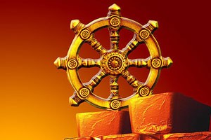 入行新手的财富巧发现