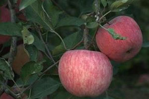 被一首歌打开心魔之后