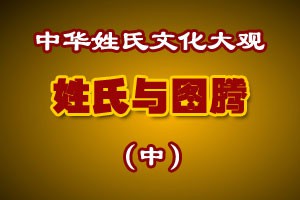 姓氏与图腾（中）