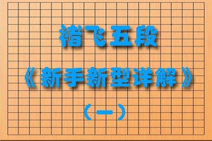 褚飞五段《新手新型详解》（一）