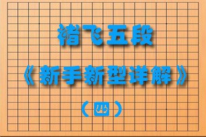 褚飞五段《新手新型详解》（四）