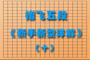 褚飞五段《新手新型详解》（十）