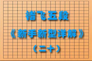 褚飞五段《新手新型详解》（二十）