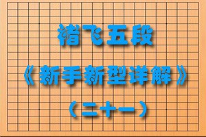 褚飞五段《新手新型详解》（二十一）