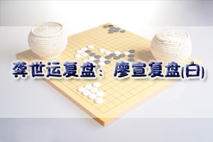 龚世运复盘：廖宣复盘(白)