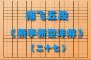 褚飞五段《新手新型详解》（二十七）