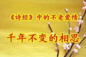 《诗经》中的不老爱情千年不变的相思