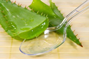 阳台上的鲜药房（上）