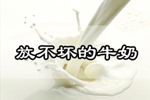 放不坏的牛奶