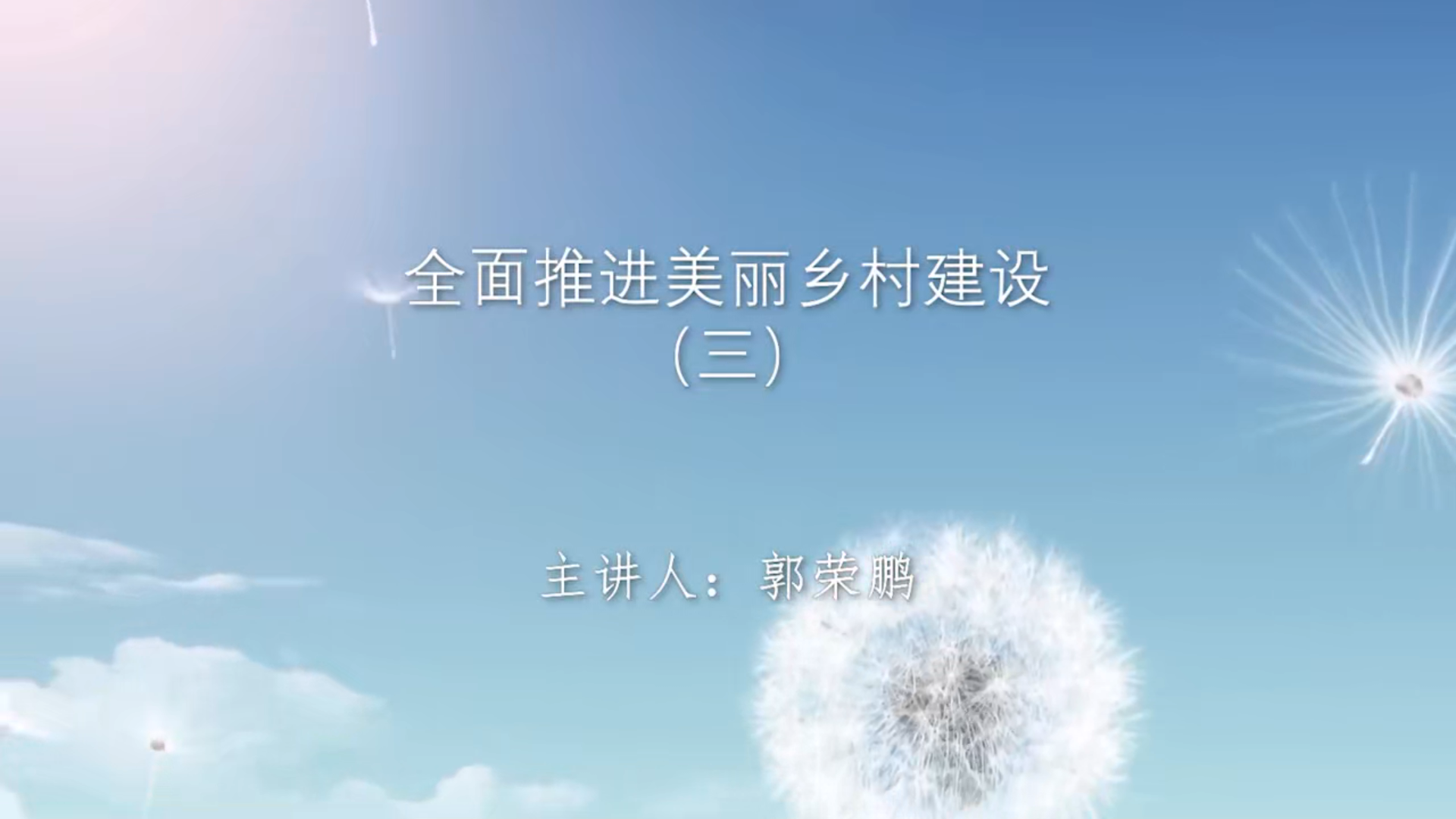 全面推进美丽乡村建设（三）