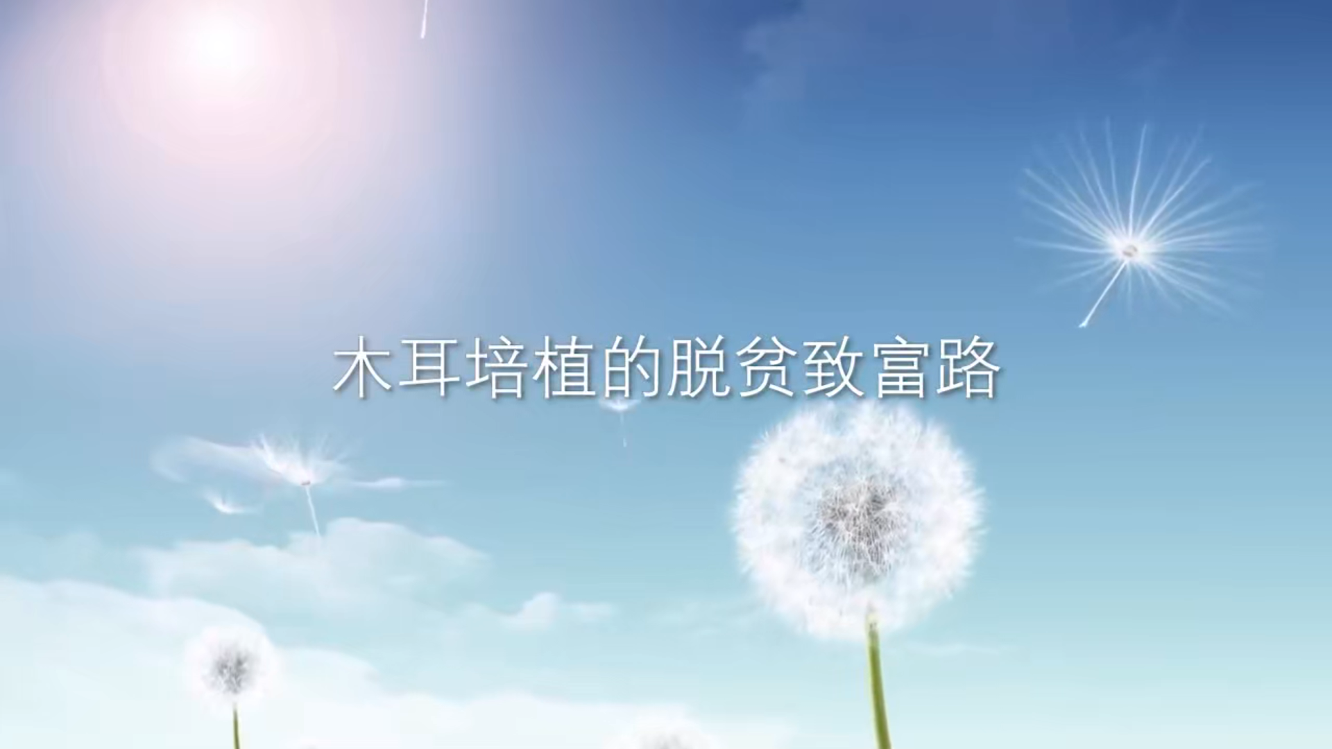 木耳培植的脱贫致富路