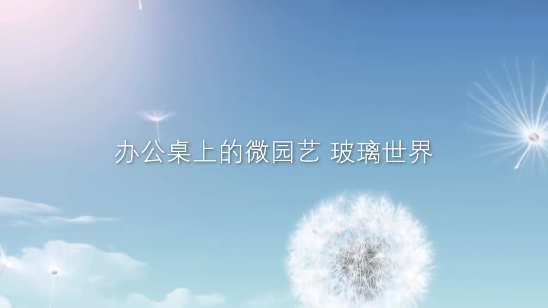 办公桌上的微园艺 玻璃世界