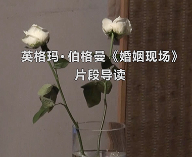 英格玛·伯格曼《婚姻现场》片段导读