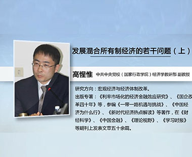 发展混合所有制经济的若干问题（上）