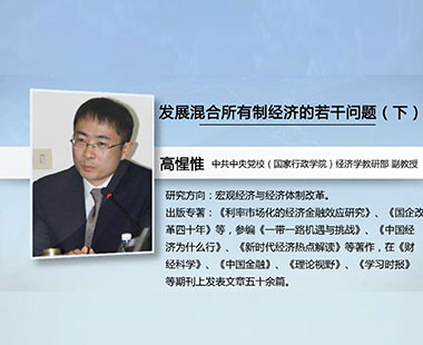 发展混合所有制经济的若干问题（下）