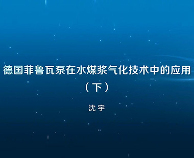 德国菲鲁瓦泵在水煤浆气化技术中的应用（下）