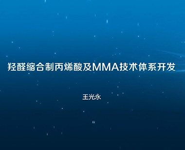 羟醛缩合制丙烯酸及MMA技术体系开发