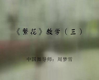 《繁花》教学（三）