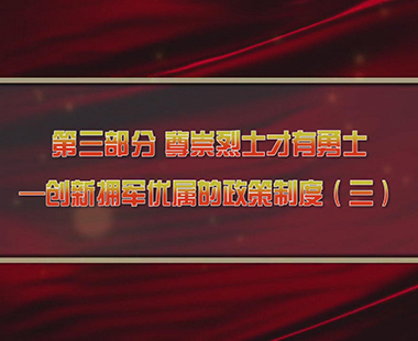 第四课 新时代兴军强军，“能打胜仗”是核心 第三部分 尊崇烈士才有勇士—创新拥军优属的政策制度（三）