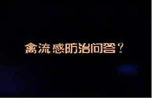 禽流感防治问答