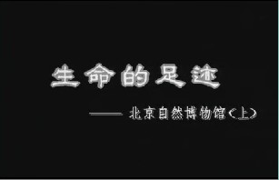 生命的足迹－自然博物馆（上）