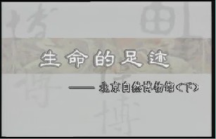 生命的足迹－自然博物馆（下）