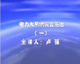 电力大系统灾变防治（一）
