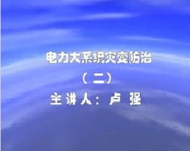 电力大系统灾变防治（二）