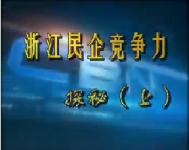 浙江民企竞争力探秘（上）