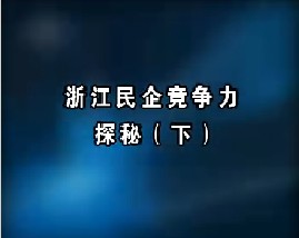 浙江民企竞争力探秘（下）