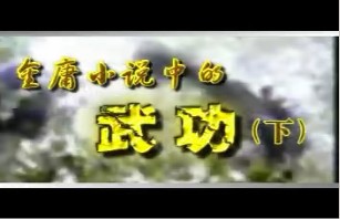 金庸小说中的武功（下）