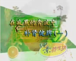 在疲累的奔波中－补肾健脾（一）
