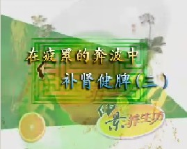 在疲累的奔波中－补肾健脾（三）